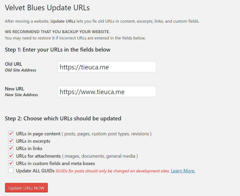 Cập nhật URL khi thay đổi tên miền trong WordPress 6 Velvet Blues Update URLs
