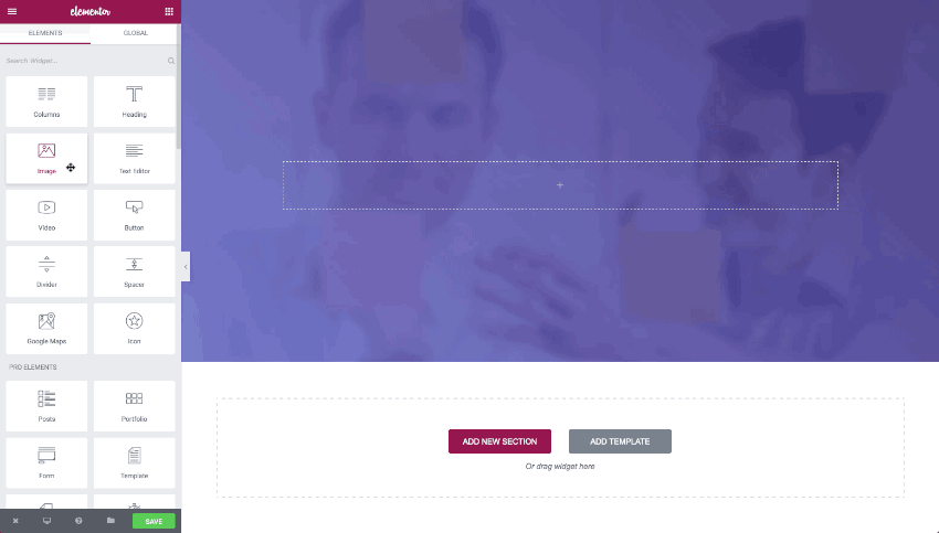 Elementor Pro